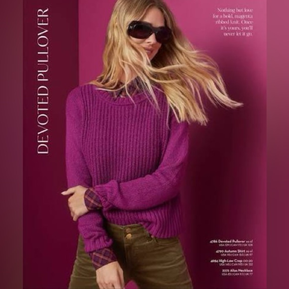 Cabi Devoted Pullover Sweater